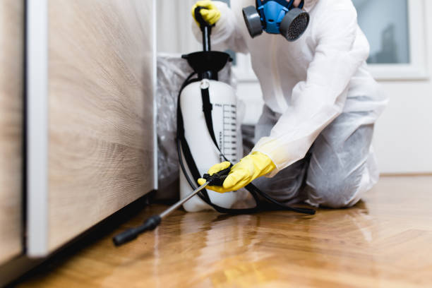 Best Affordable Pest Control Services  in Duquesne, MO
