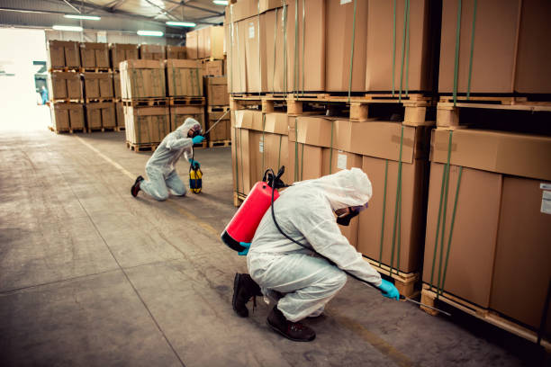 Best Local Pest Control Services  in Duquesne, MO