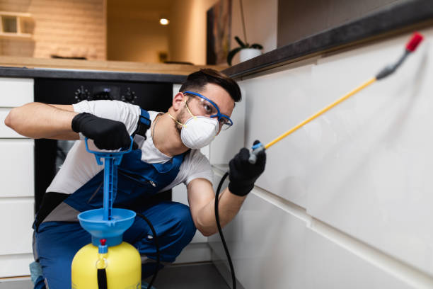Best Affordable Pest Control Services  in Duquesne, MO
