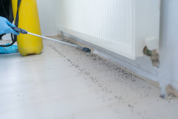 Best Pest Control Near Me in Duquesne, MO