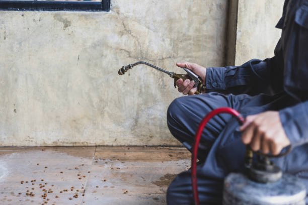 Best Emergency Pest Control  in Duquesne, MO